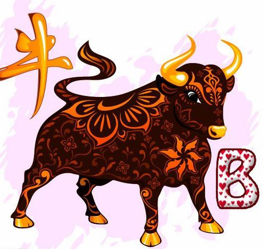 揭秘遮字背后的生肖玄机，一场文化与智慧的深度探索