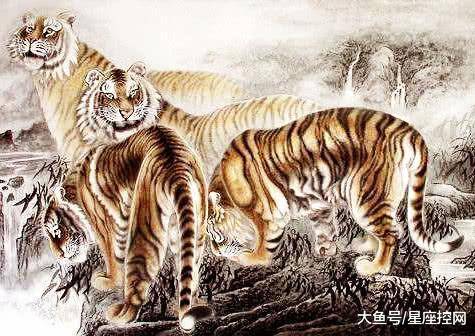 十二生肖中的一无所有—论鼠的独特寓意与人生哲学