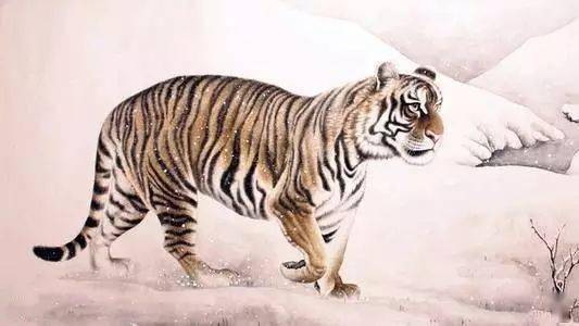 飞禽走兽猜一最佳生肖，鼠的智慧与机敏