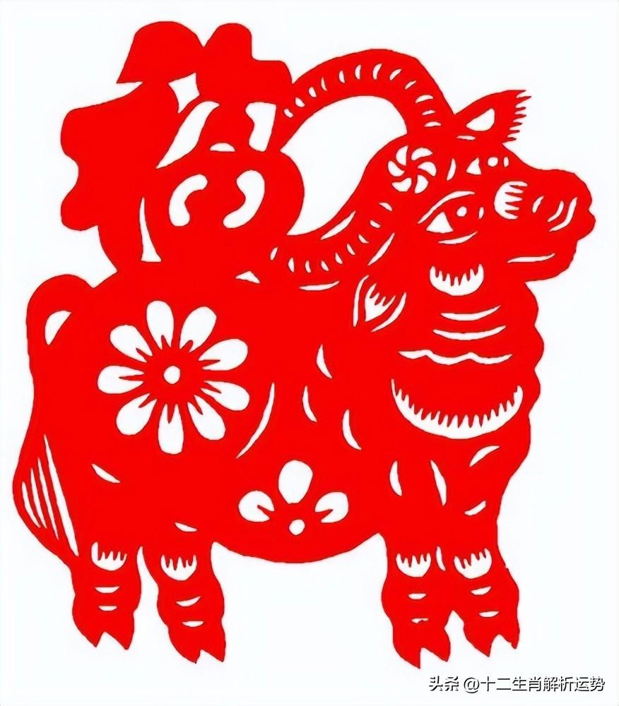 小康人家是什么生肖，积极作答，落实解释