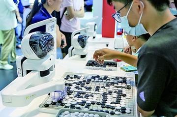 今日生肖相冲大揭秘，全面解析与实际应用