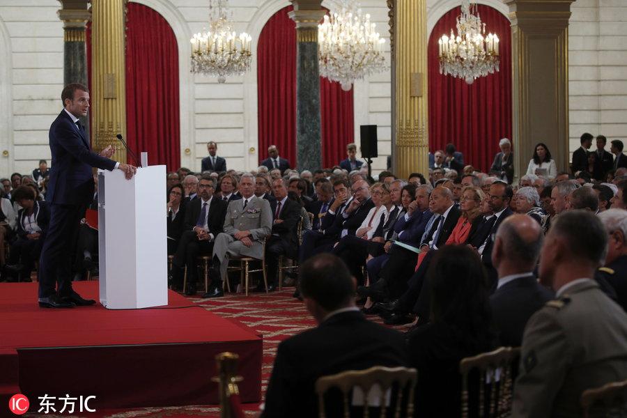 探秘天衣无缝与生肖之谜，一场智慧与趣味的奇妙对话