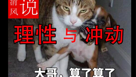 历历在目，揭秘非凡解释背后的动物谜团