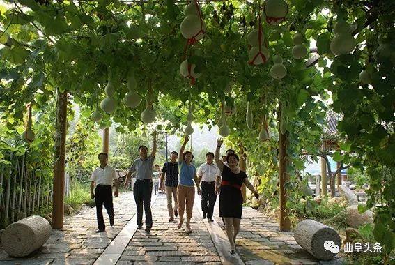 百折不挠猜一动物，马上为你揭晓落实