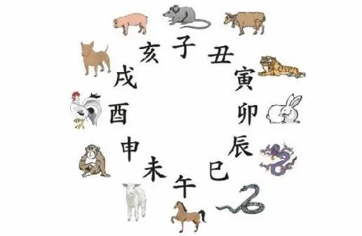 情不自禁猜一最佳生肖，揭秘生肖背后的文化与智慧