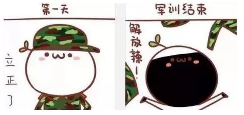 一木一土一方水打一正确生肖，谁来落实解答？