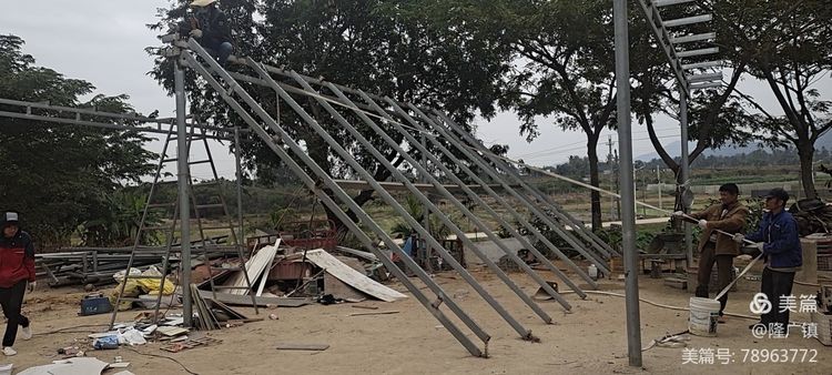 谜语探秘，二三五八四面围，猜一动物