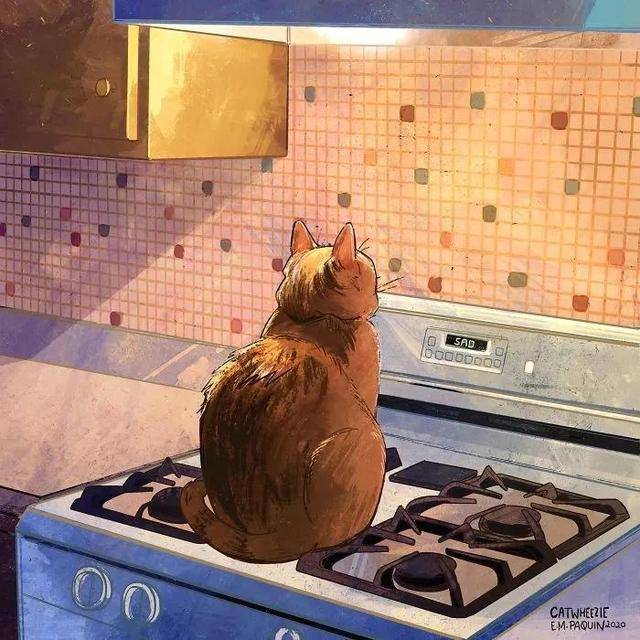 十二生肖中为什么没有猫，与积极行动的完美结合