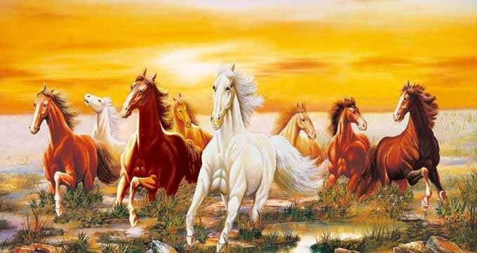 飞黄腾达是指什么生肖，解析作答落实解释