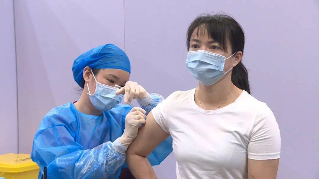 一针见血猜一生肖，热议解释落实