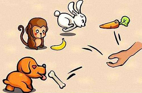 七手八脚猜一动物?绝佳解释落实