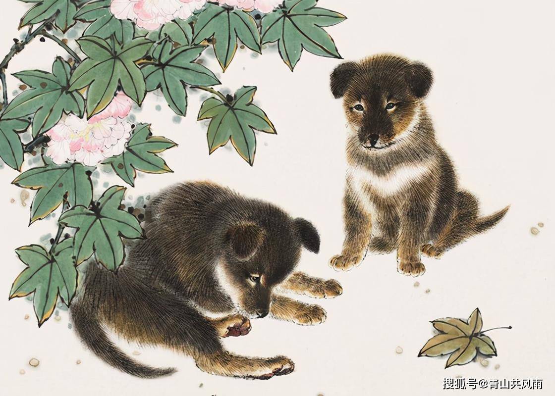 帮狗吃食打一正确生肖，激励作答落实解释