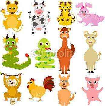 外国人有生肖吗？一次跨文化的友爱探索