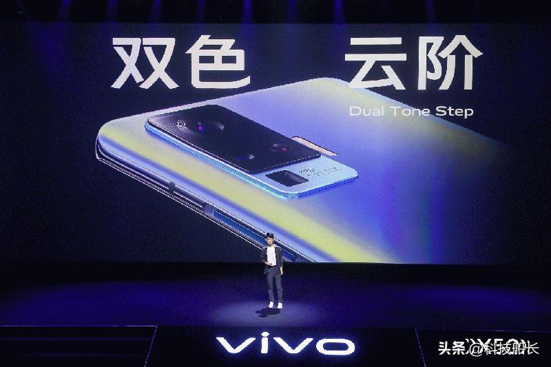 鸟语花香，猜一生肖，智慧与自然的和谐共鸣