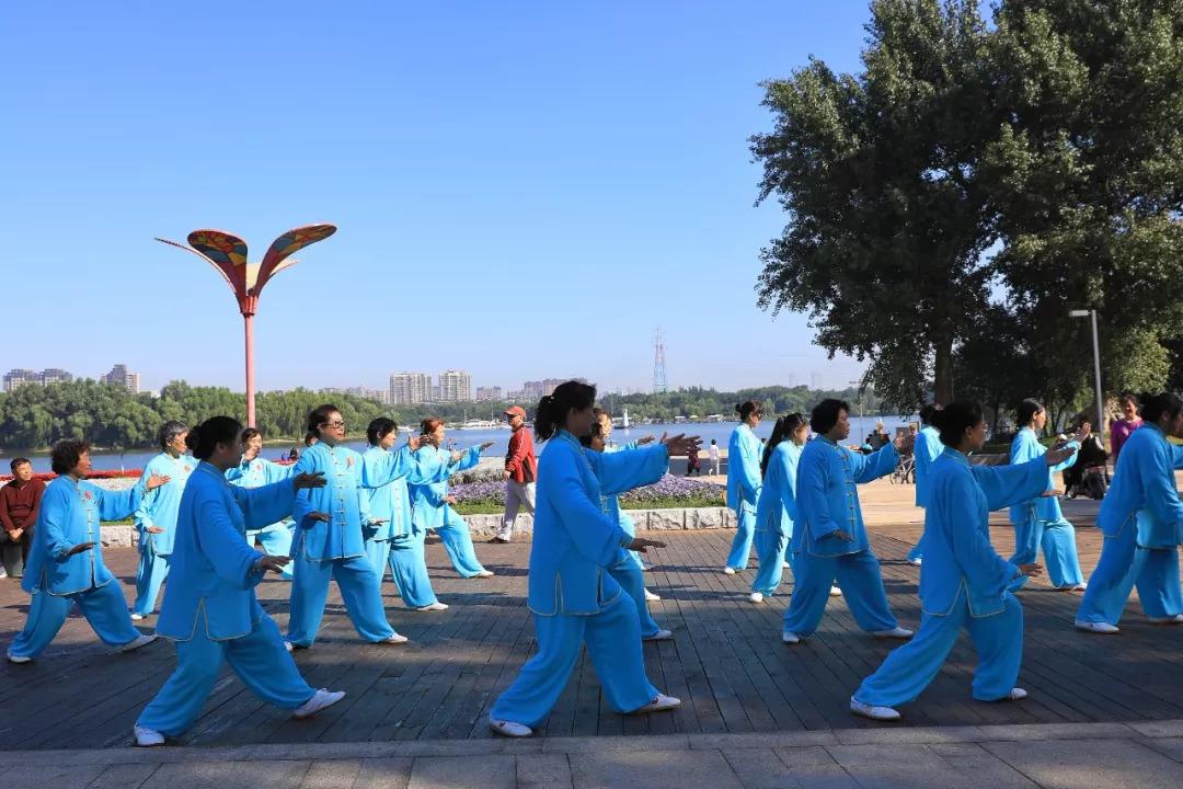 龙行虎步打一生肖动物，揭秘如何选择并落实正确的