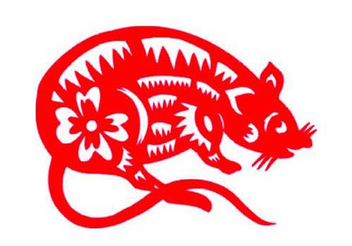 思前想后是什么生肖