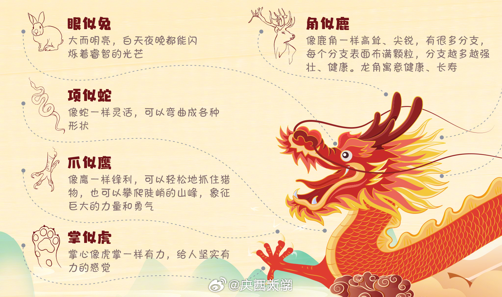 探索龙与生肖的奥秘，揭秘龙与哪个生肖不合的传说与现实