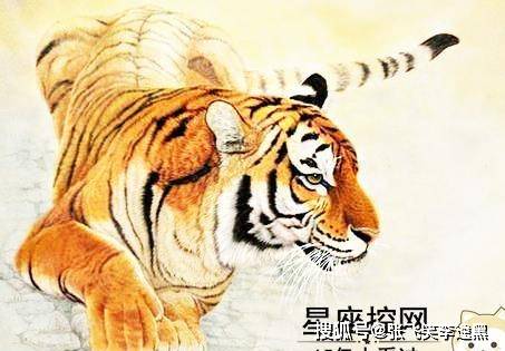 水送山迎打一正确生肖，无限解释落实