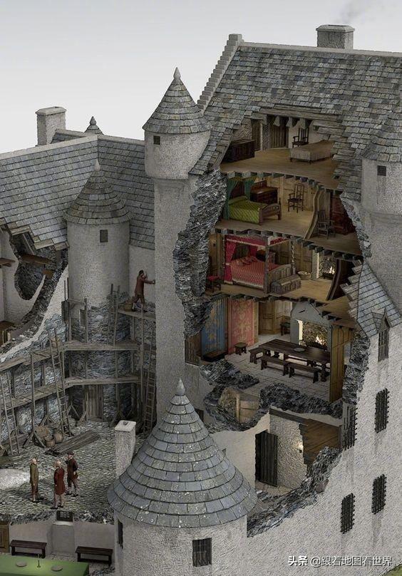 粉饰场面猜一动物，的动物智慧与战略运用