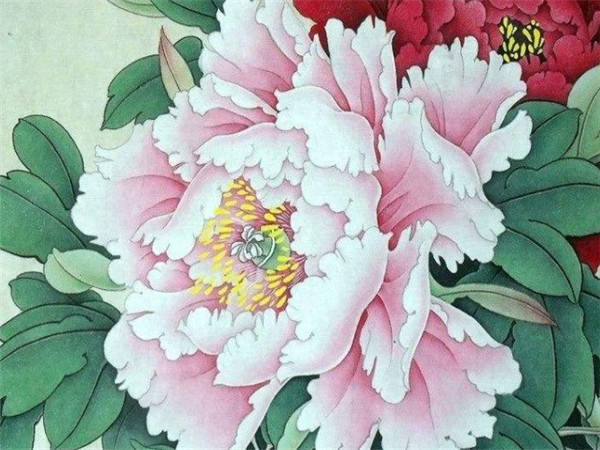 长舌妇是什么生肖，全面解析与落实