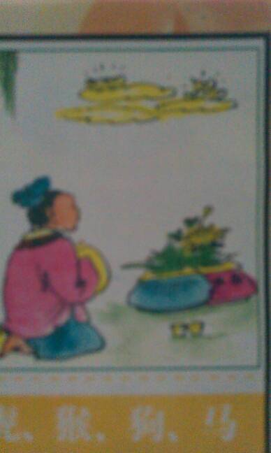 十冬腊月是指什么生肖，积极解释与落实的转变