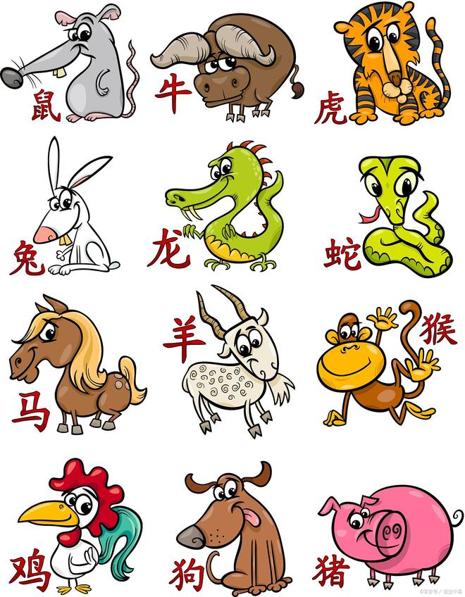 揭秘生肖与易受骗性，生肖兔的奥秘解释