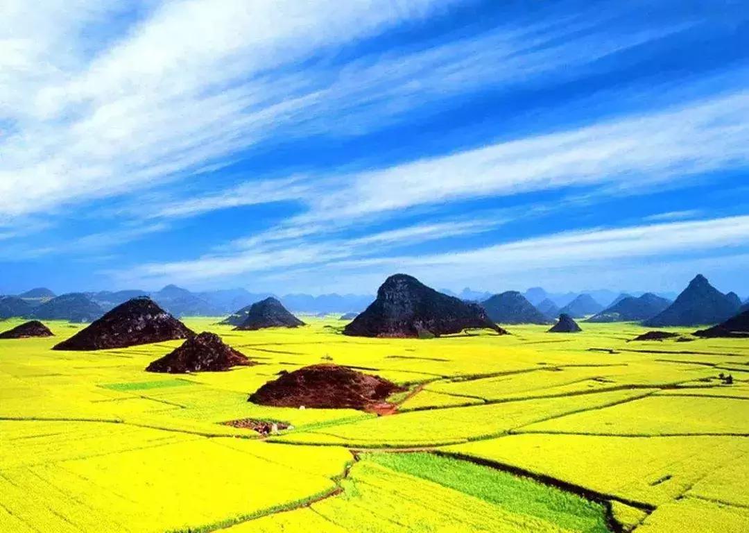 草长莺飞话生肖，探寻那抹春意盎然的神秘色彩