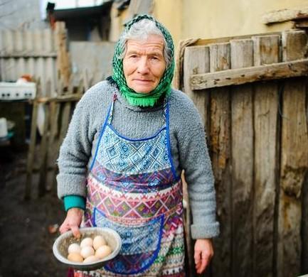 蛇为何惧螳螂，一场自然界的智慧较量