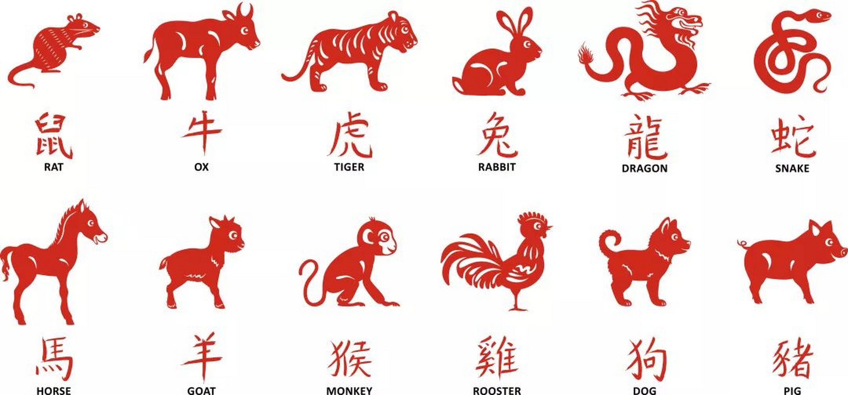 听代表的生肖，灵兔的智慧与倾听