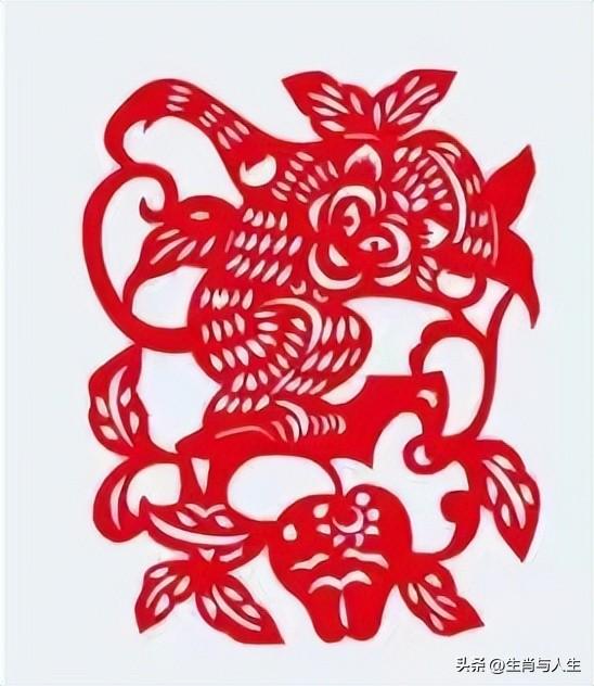 天生丽质，非凡之兔—生肖中的独特魅力