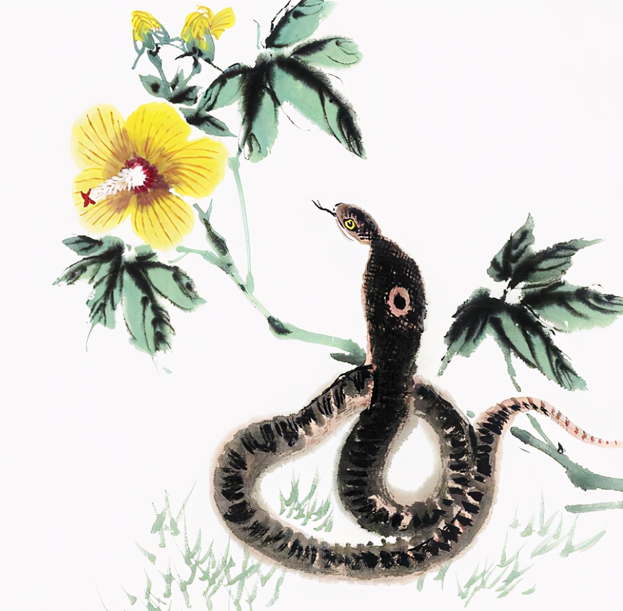 生肖蛇，探寻最佳配对生肖的奥秘