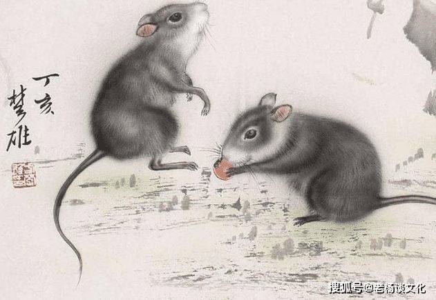 绝不轻饶，揭秘绝不轻饶背后的生肖寓意与无限解释落实