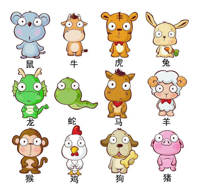 大智若愚，揭秘猜一生肖的智慧哲学与生肖之谜