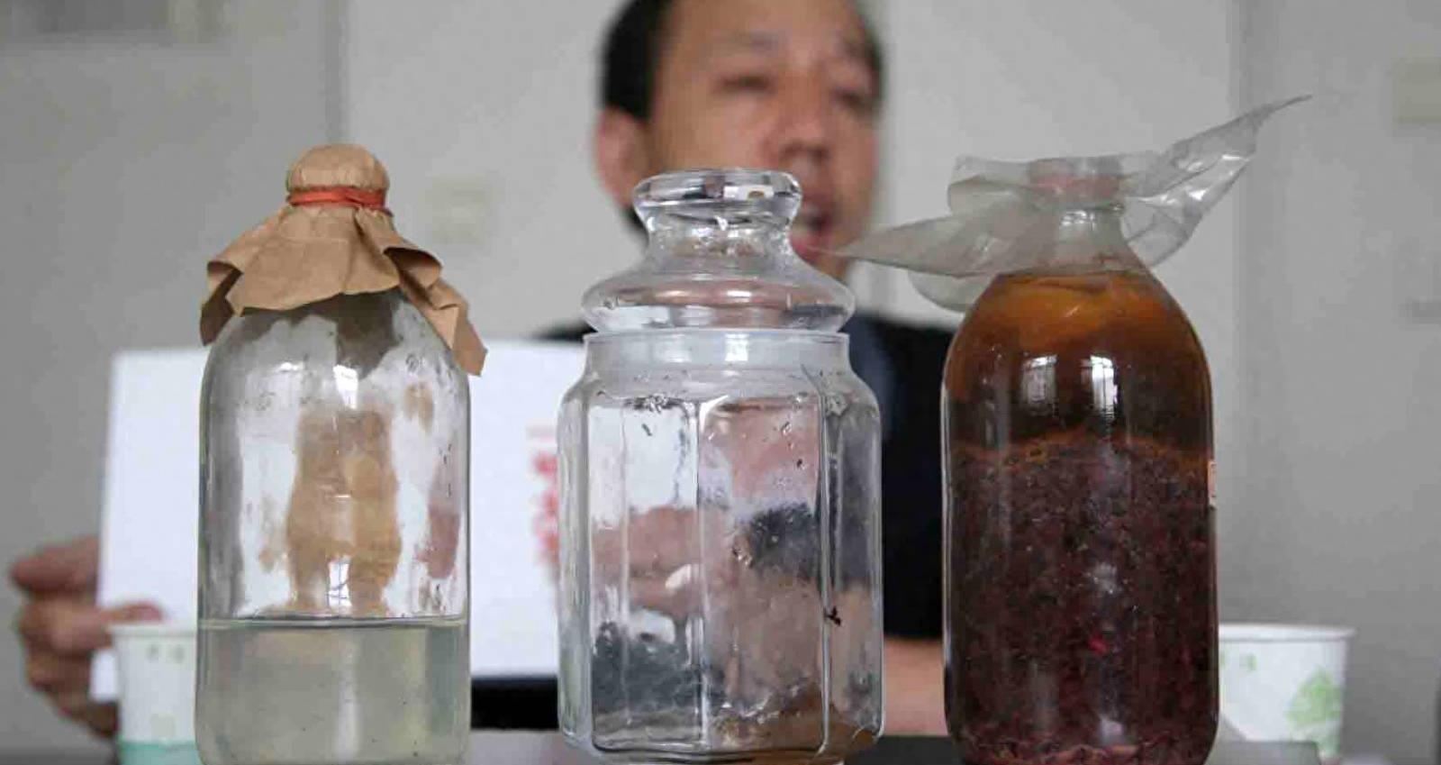 谜题揭秘，行动如飞—揭秘生肖之谜