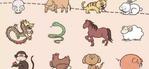 十二生肖最实际猜一动物，与积极行动的完美结合