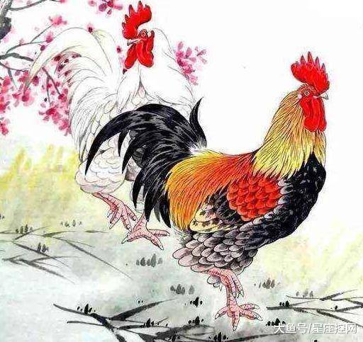 一丝不苟的生肖，实证解释落实