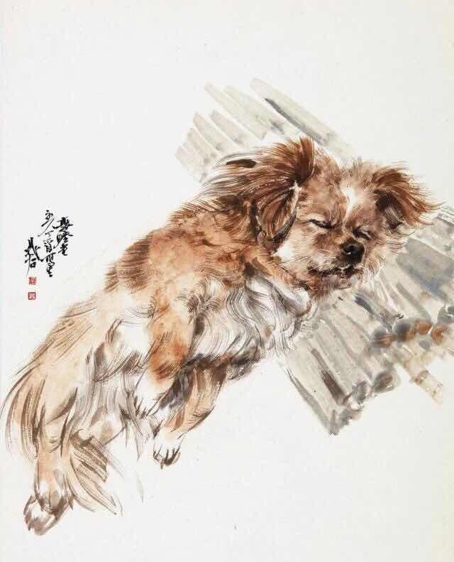 与狗相冲的生肖，传统智慧在现代生活中的和谐共处