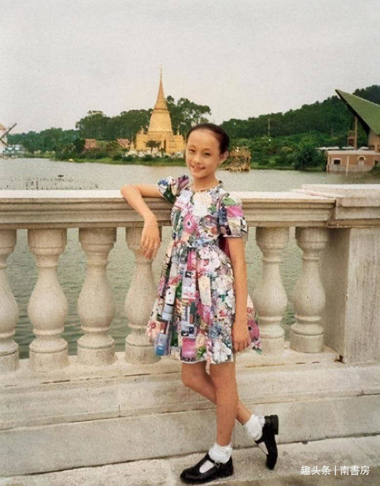 一刀两断与团结的力量，生肖中的智慧与启示