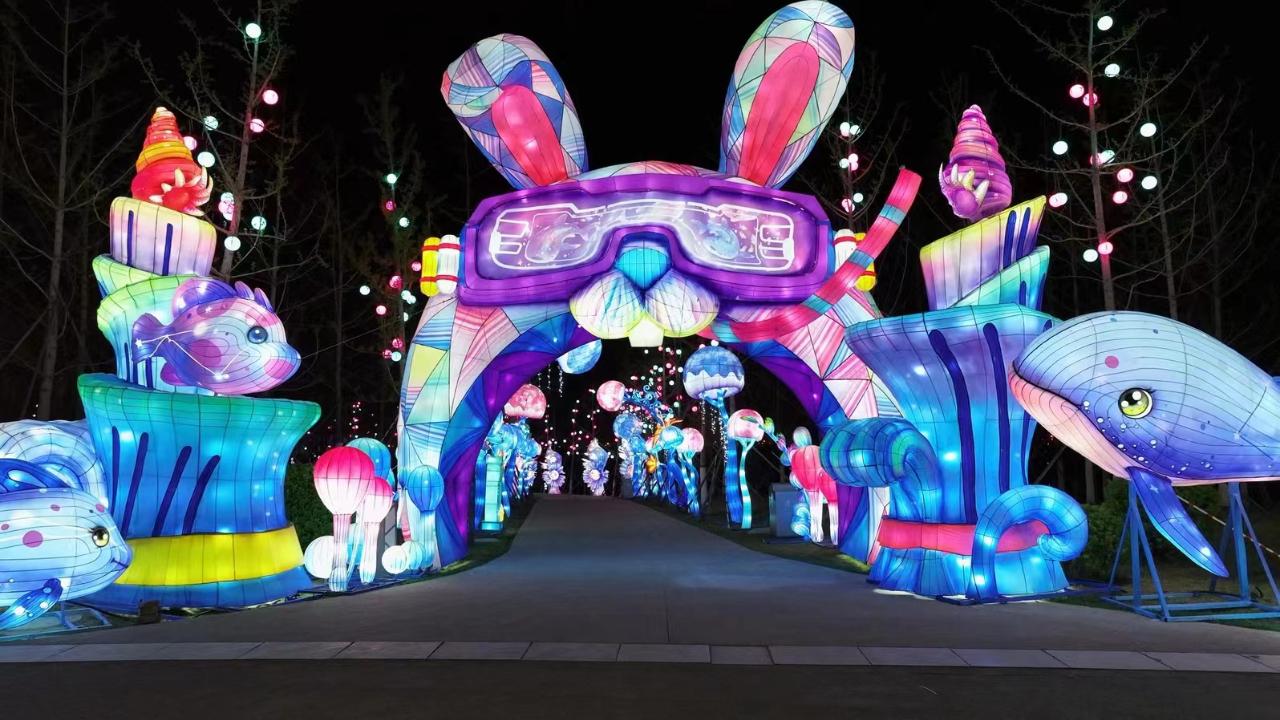 数以万计，生肖文化与社会进步的交织篇章