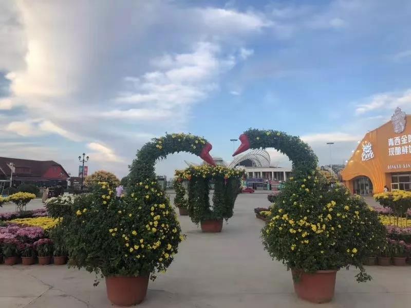 国庆节打一生肖，谜底即将揭晓