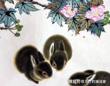 走遍天下的生肖，全面揭晓解释落实