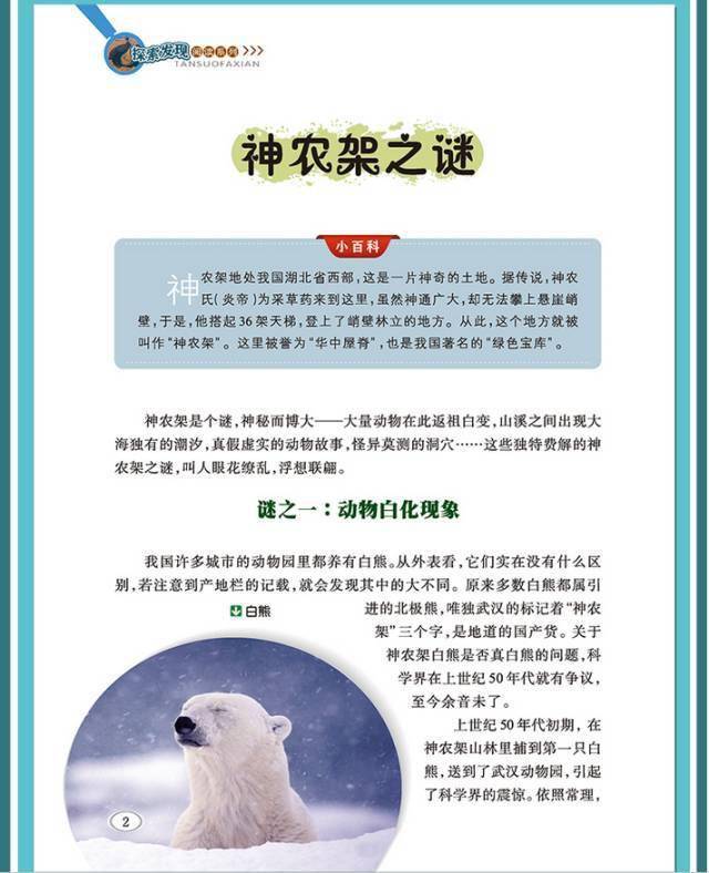 神出鬼没，生肖之谜与人生哲理的深度解析