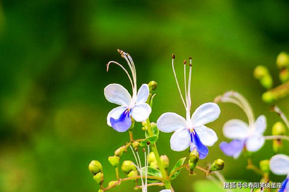 海南之行，生肖鼠的智慧之旅与人生哲理