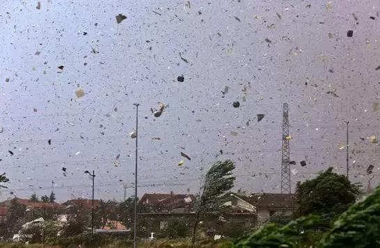 十二生肖哪个是君子，神秘解释落实