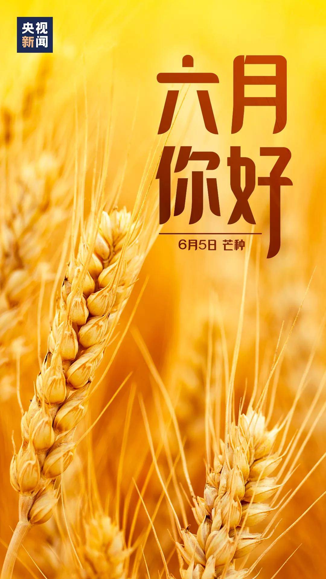 九字当头四六好猜一生肖，喜欢作答落实解释