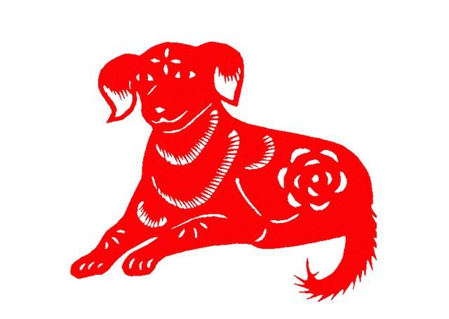 明天代表什么生肖，最新解释与落实