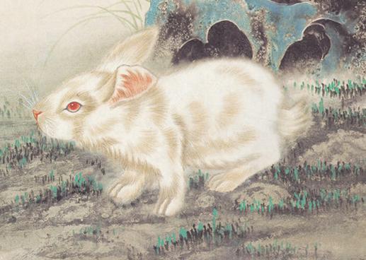 忙忙碌碌是指什么生肖，揭秘如何选择并落实正确的