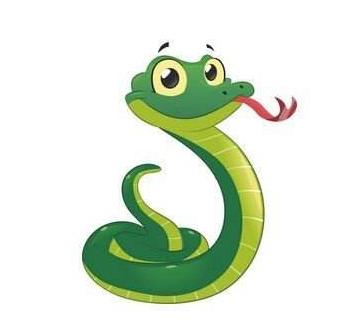 风云肖，揭秘中国传统文化中的生肖奥秘