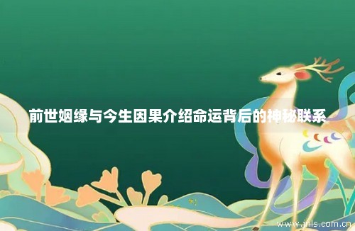 探寻前世姻缘与生肖之谜，四八合一的奥秘