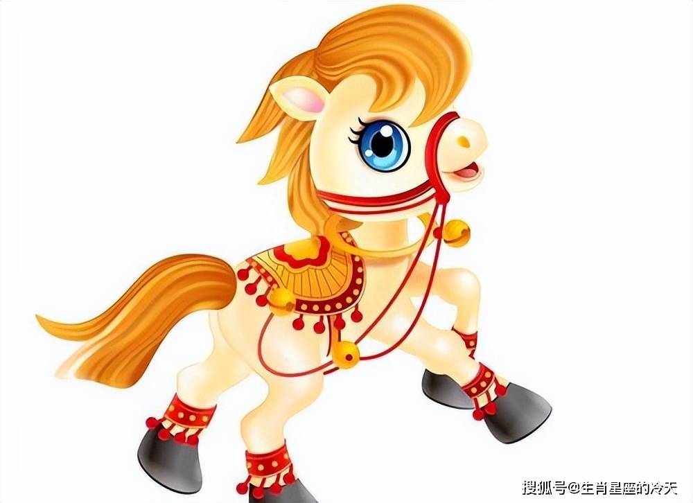 属马人的六合生肖，传统智慧与现代生活的和谐融合